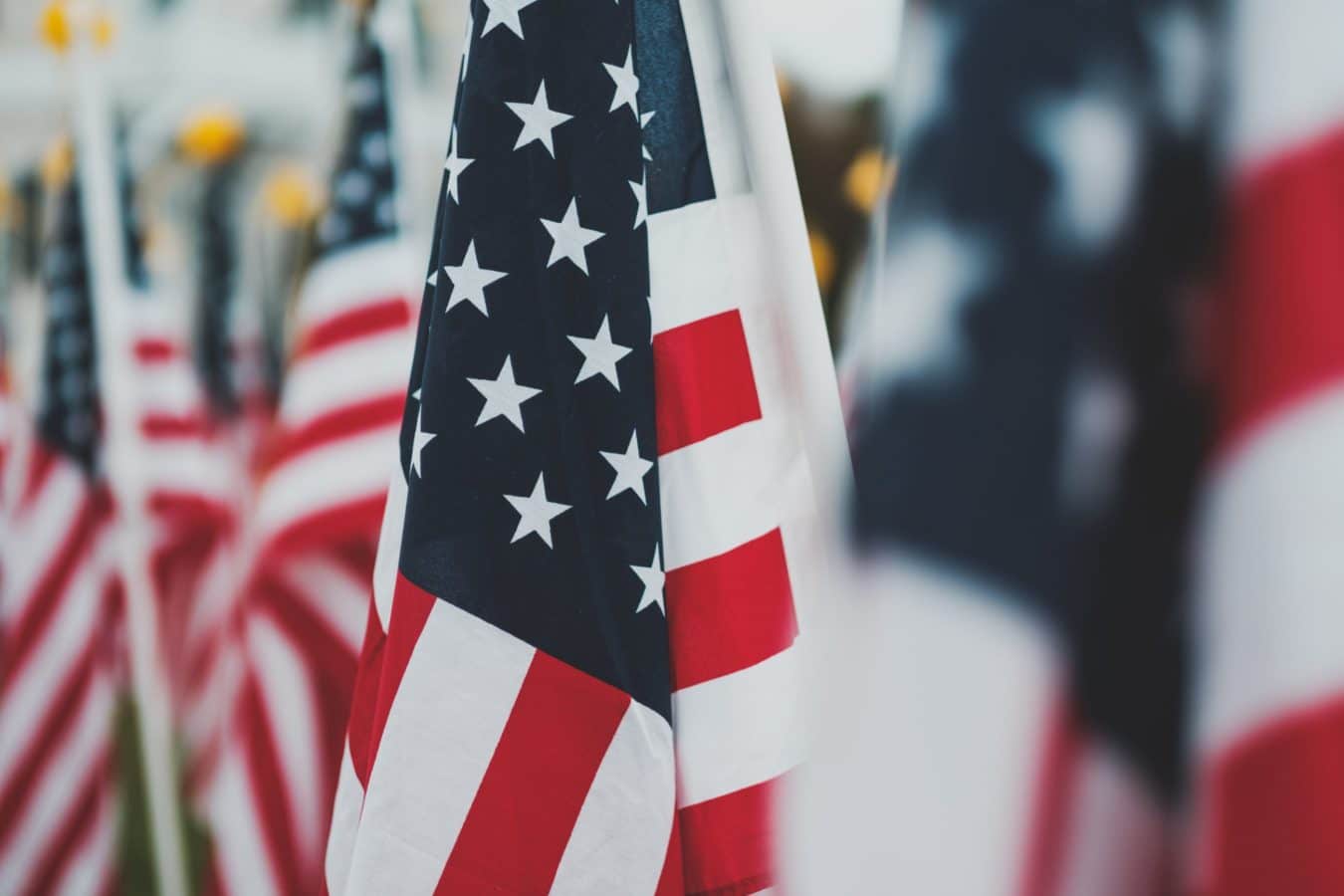 memorial day flags